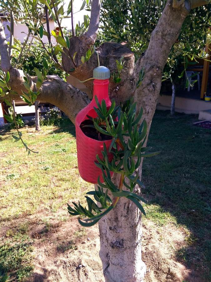Farma Giannis Sarti Exterior foto